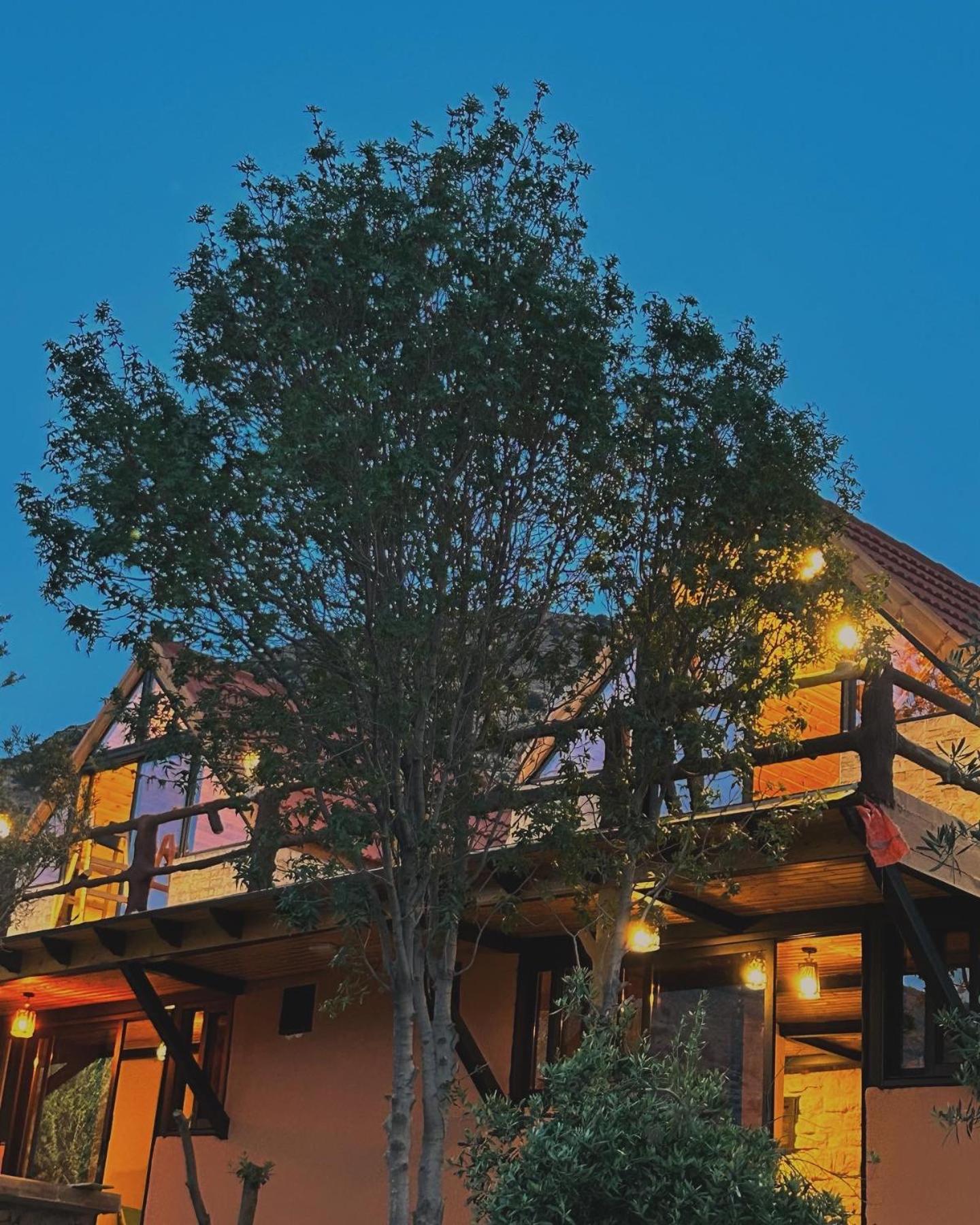 Dana Luxury Huts Hotel Luaran gambar