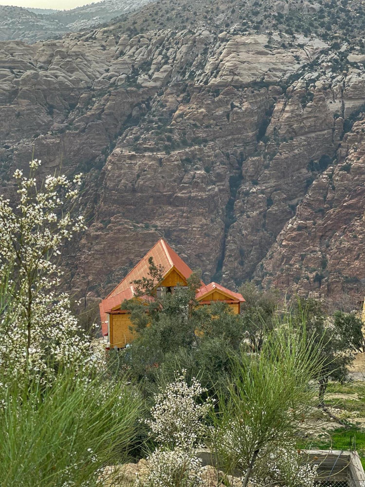 Dana Luxury Huts Hotel Luaran gambar