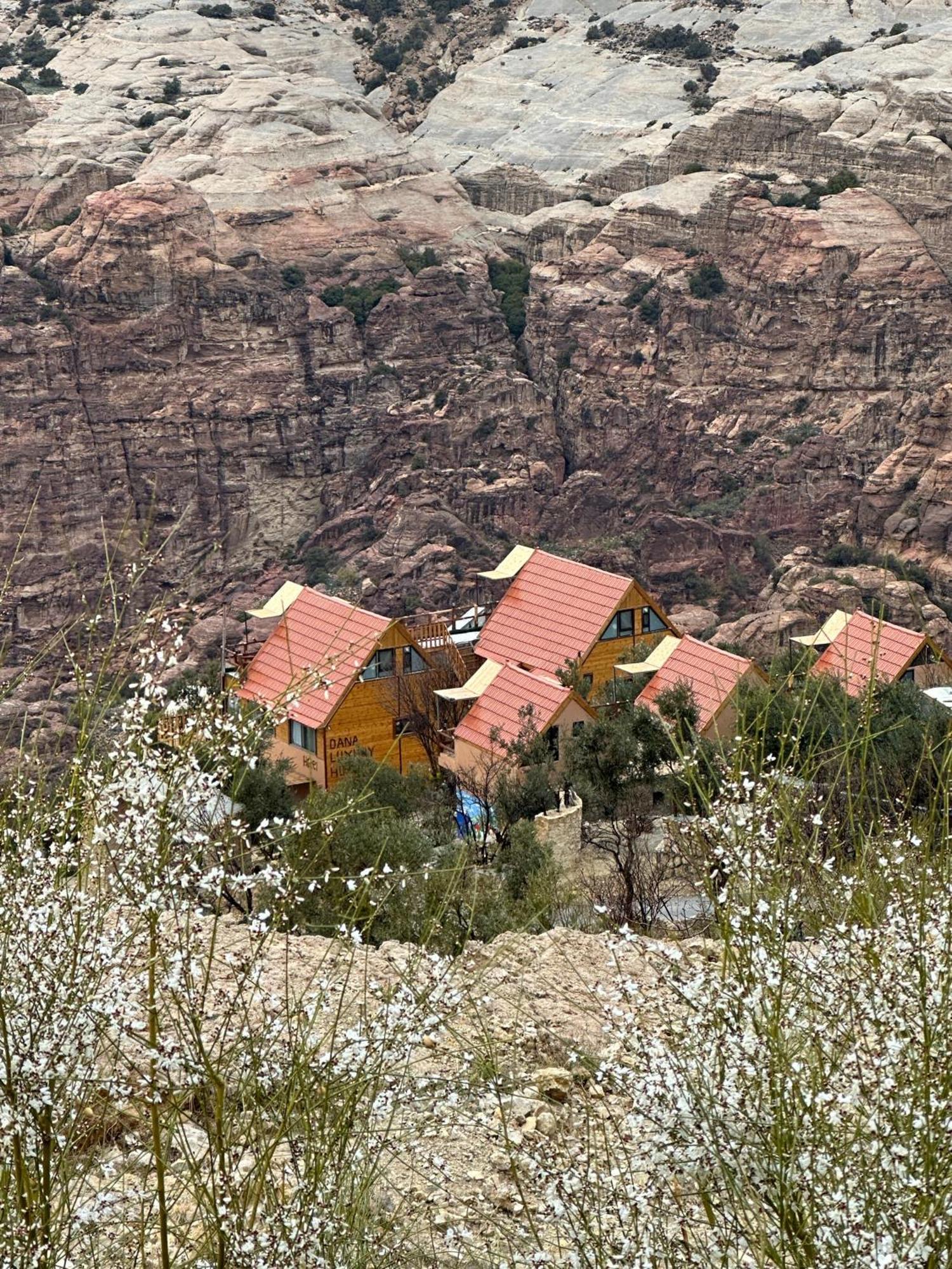 Dana Luxury Huts Hotel Luaran gambar